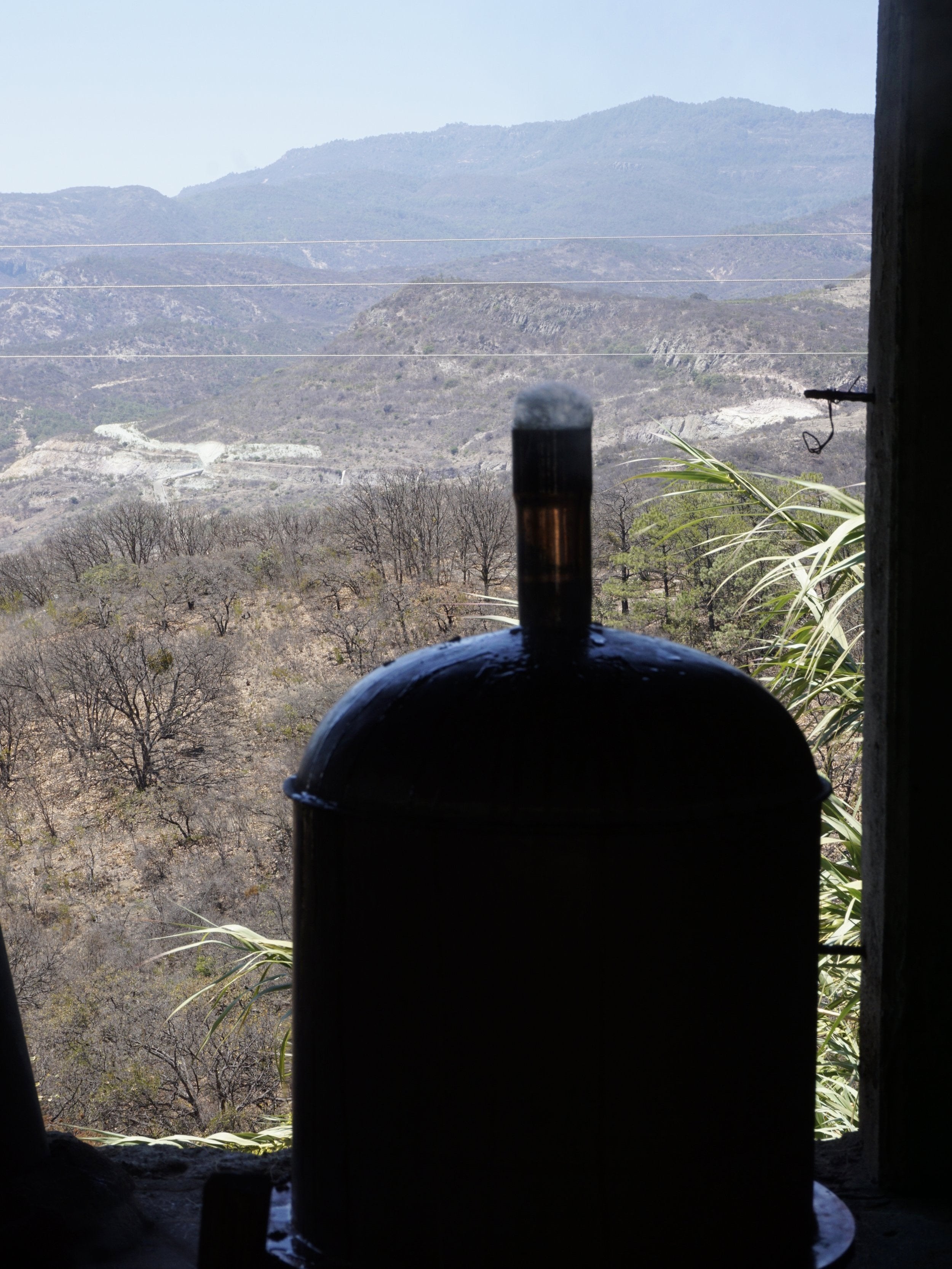 Jabali foaming during distillation of mezcal