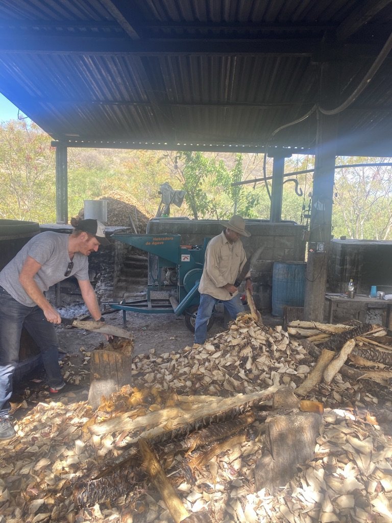 using machetes to cut up the agave ready to make the mezcal