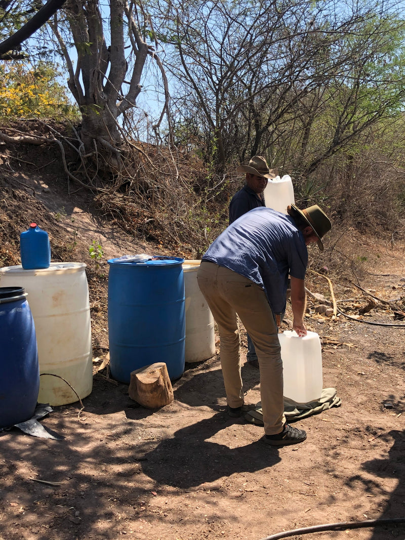 The precious supply of 200 litre drums at the Palenque