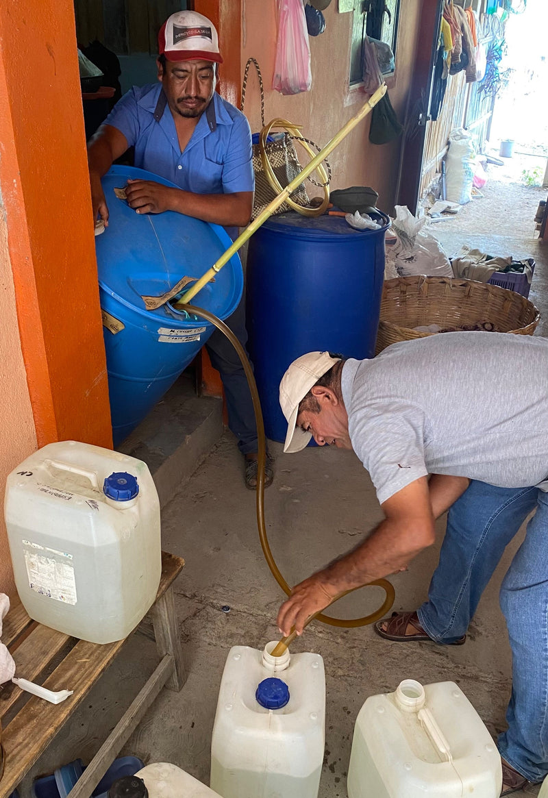 Blending mezcal at the bodega