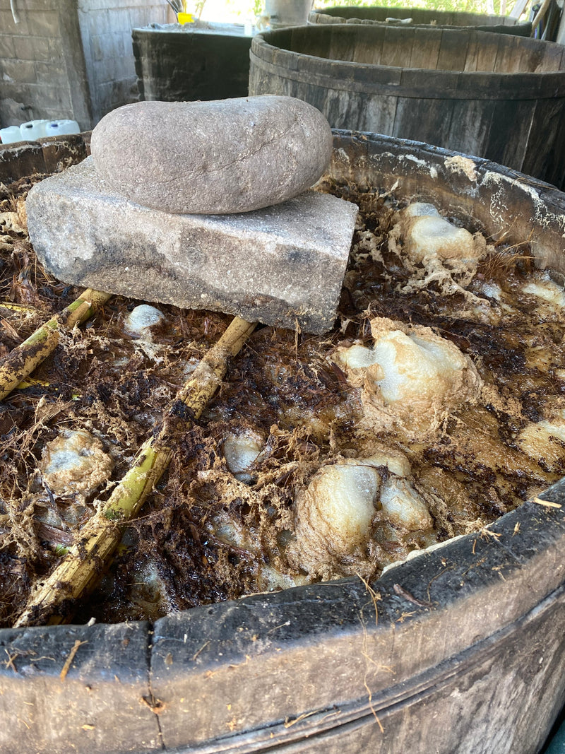 Foaming Jabalí weighed down in the fermentation vat