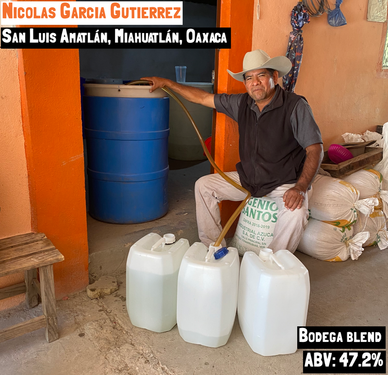 main image for the Bodega Blend - Amatlán page on the Sin Gusano project website