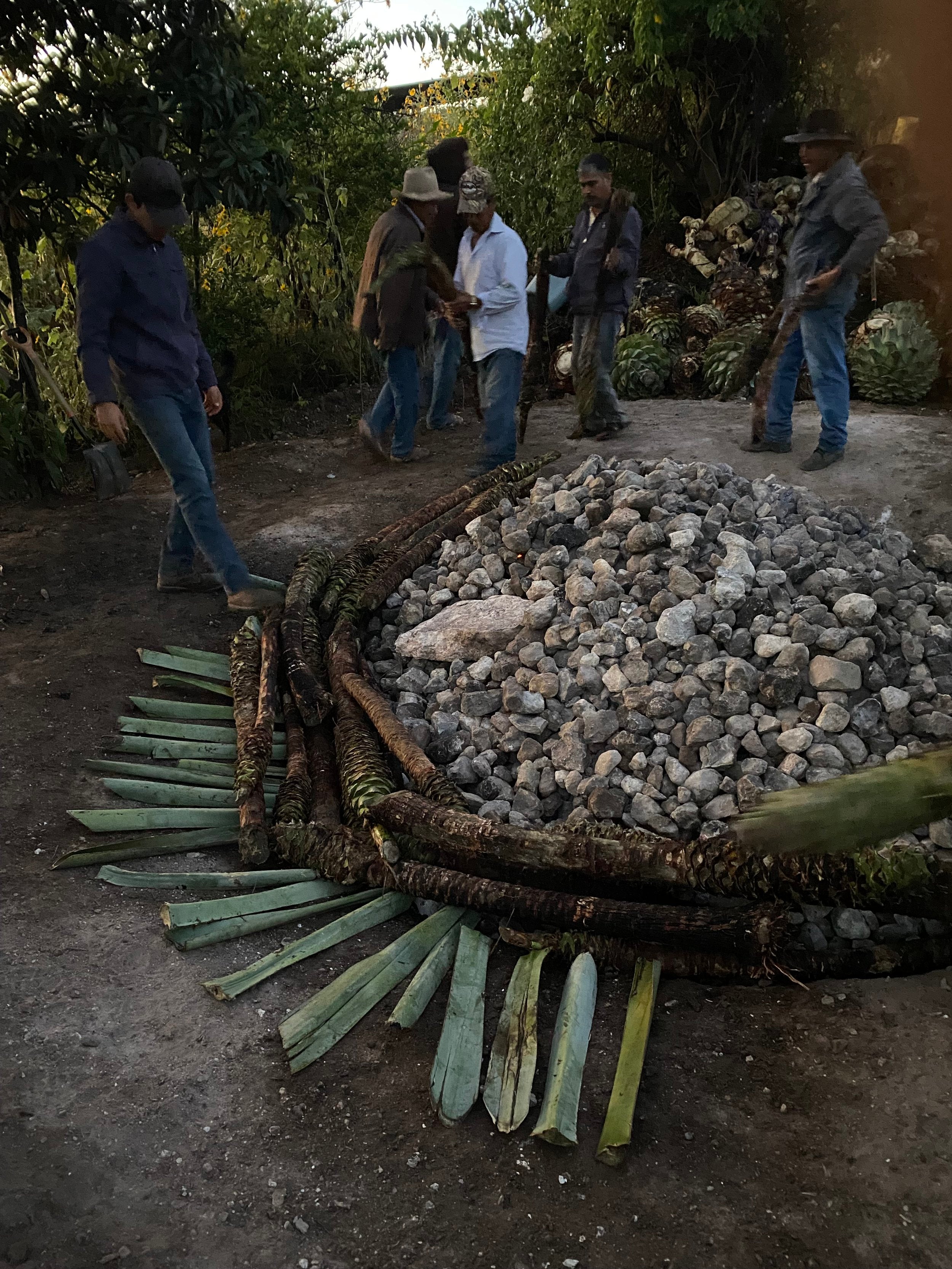 an in ground oven being prepared for mezcal