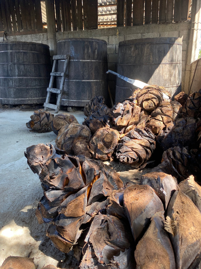 Pinas stacked up waiting to be roasted for mezcal
