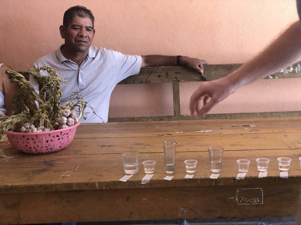 A man sat with a row of glasses with all different samples of mezcal from the Sin Gusano project