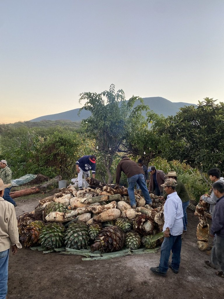 a huge in ground oven for cooking agave for mezcal production