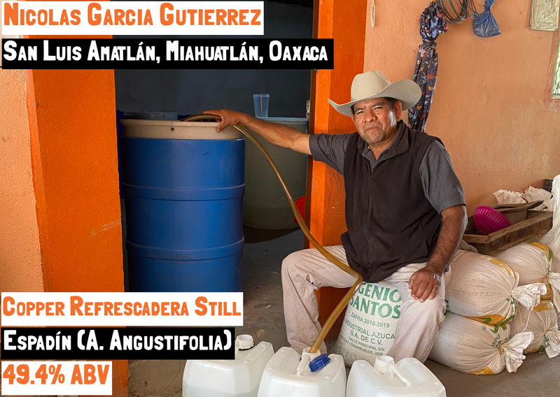 Main image for the Espadín - Amatlán mezcal page on the Sin Gusano project mezcal library