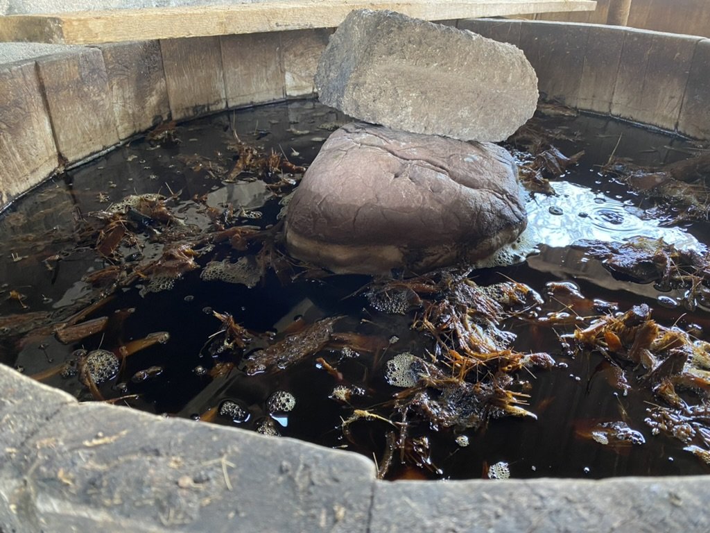 the agave Fermenting for the Tepextate - Amatlán mezcal