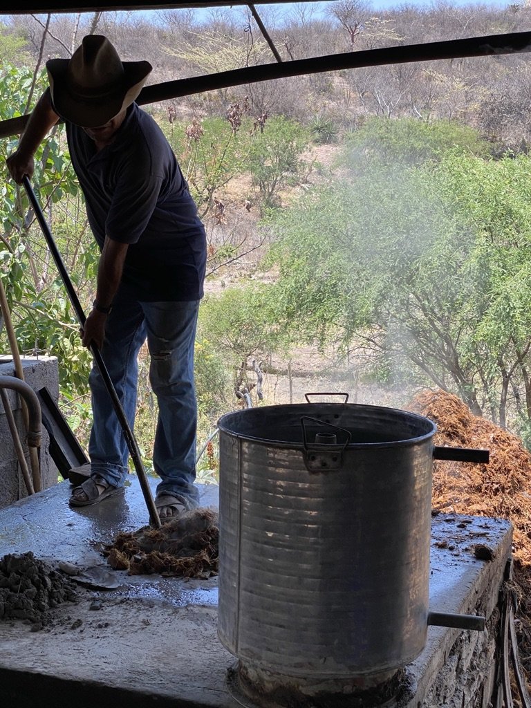 Swapping out the mash for mezcal production