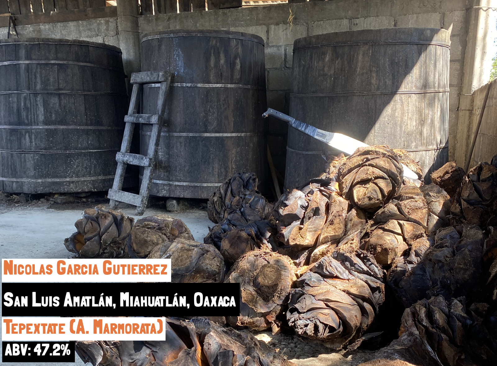 The Main image for the Sin Gusano project webpage for the Tepextate - Amatlán Mezcal Appreciation Society