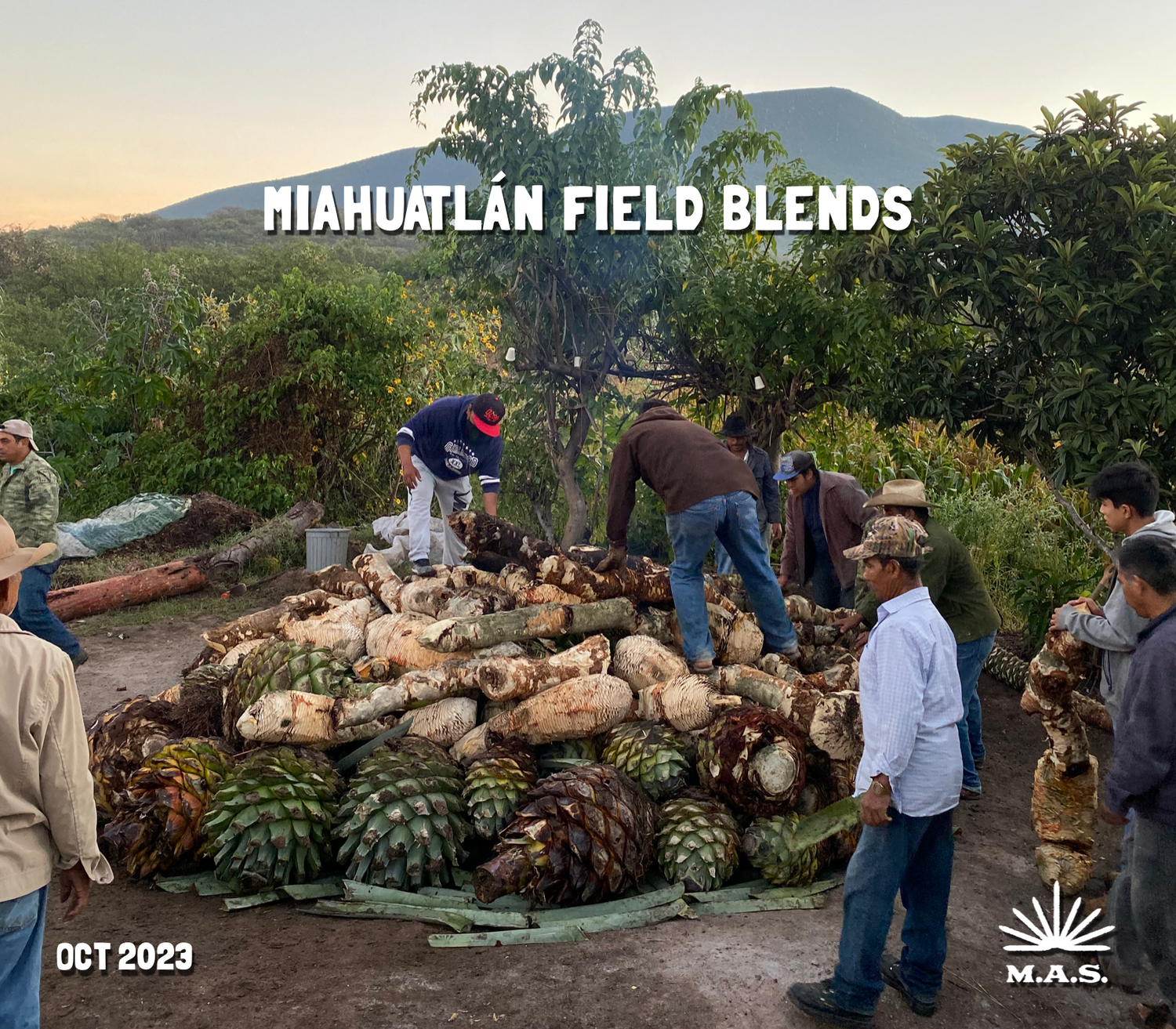 The October poster for the October 2023 edition of the Mezcal Appreciation Society