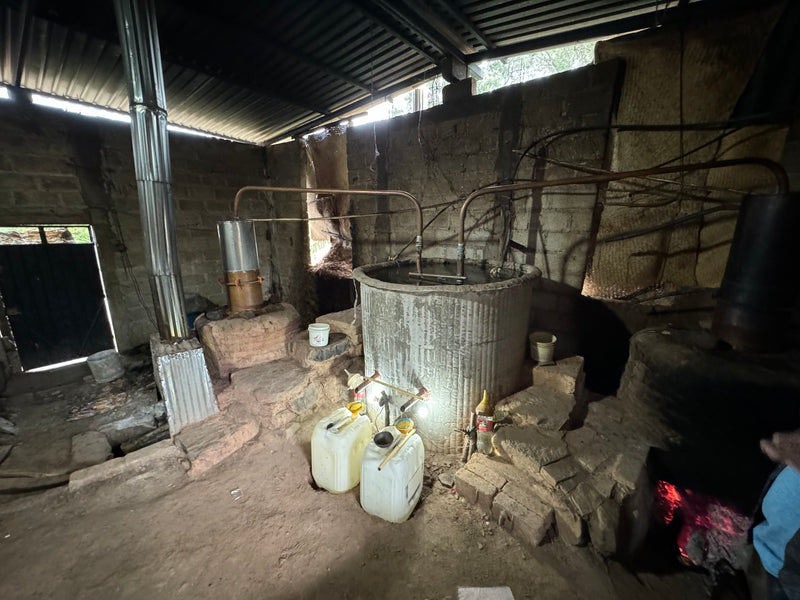 a small distillery with pot stills and barrels in a shed in Mexico making mezcal