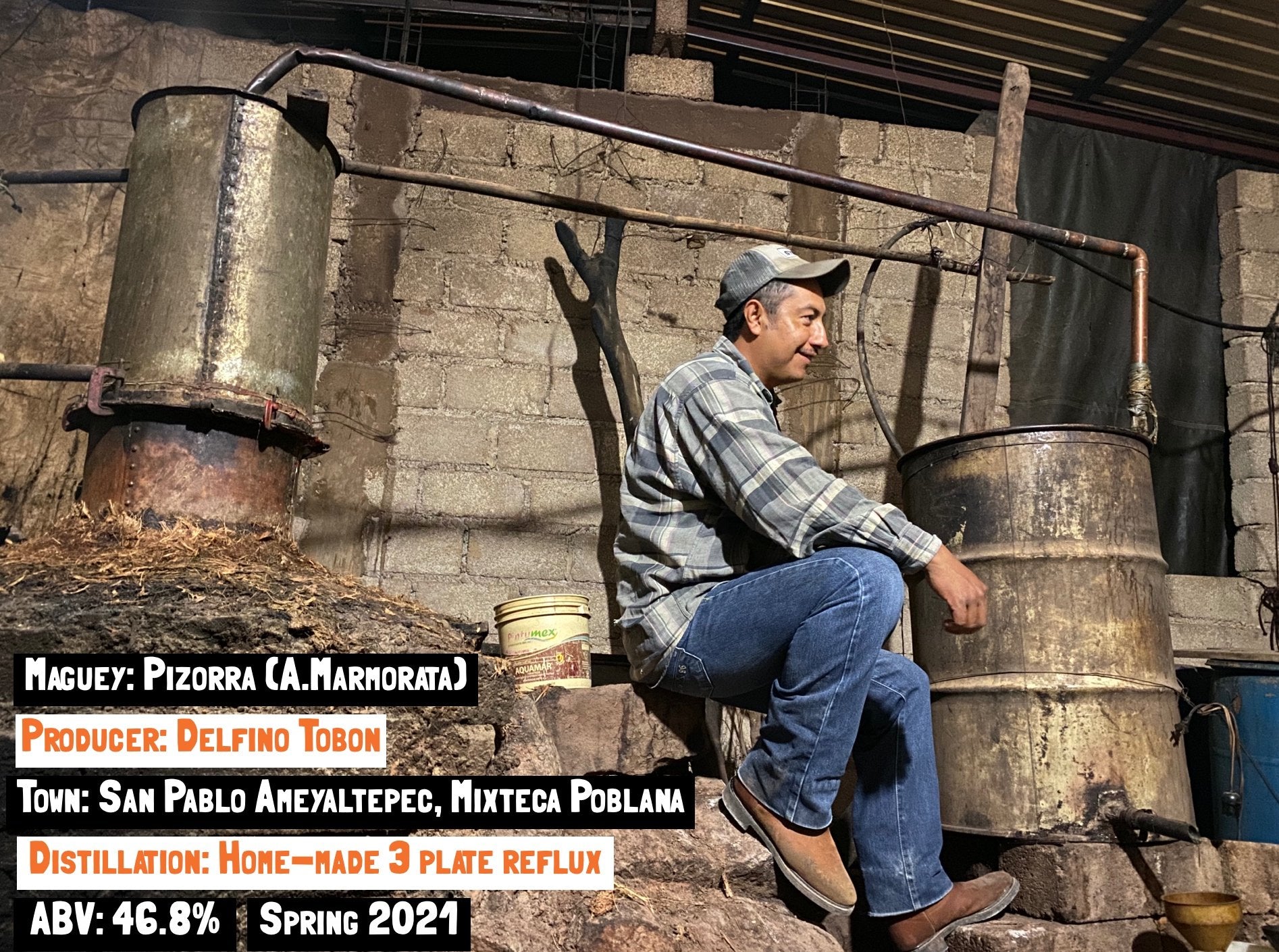 Main image for the Pizorra (Verano) - Ameyaltepec mezcal webpage by the Sin Gusano project