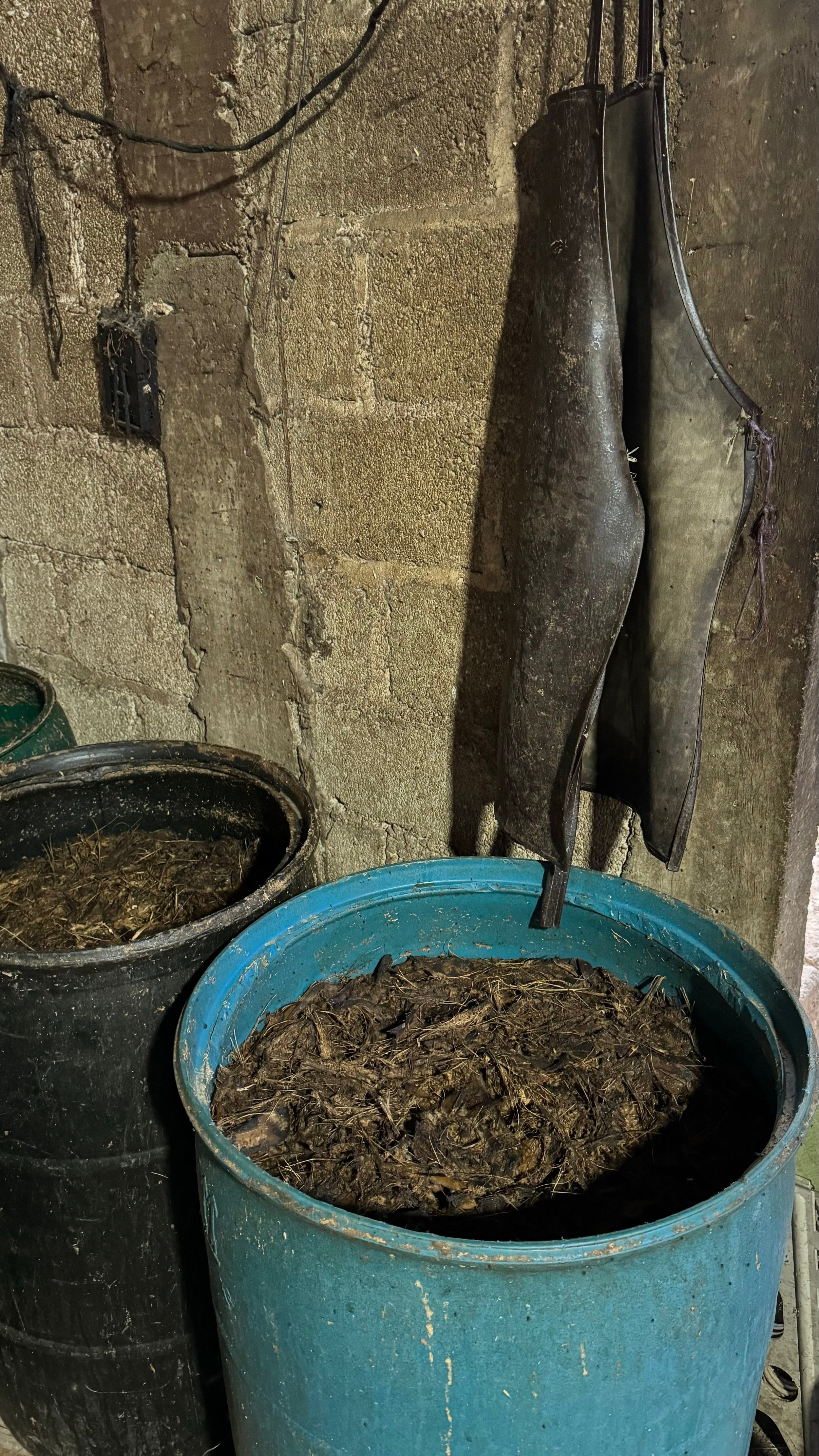 Roasting the Papalote - Ameyaltepec
Batch: P-DT-05 exclusive to Sin Gusano
