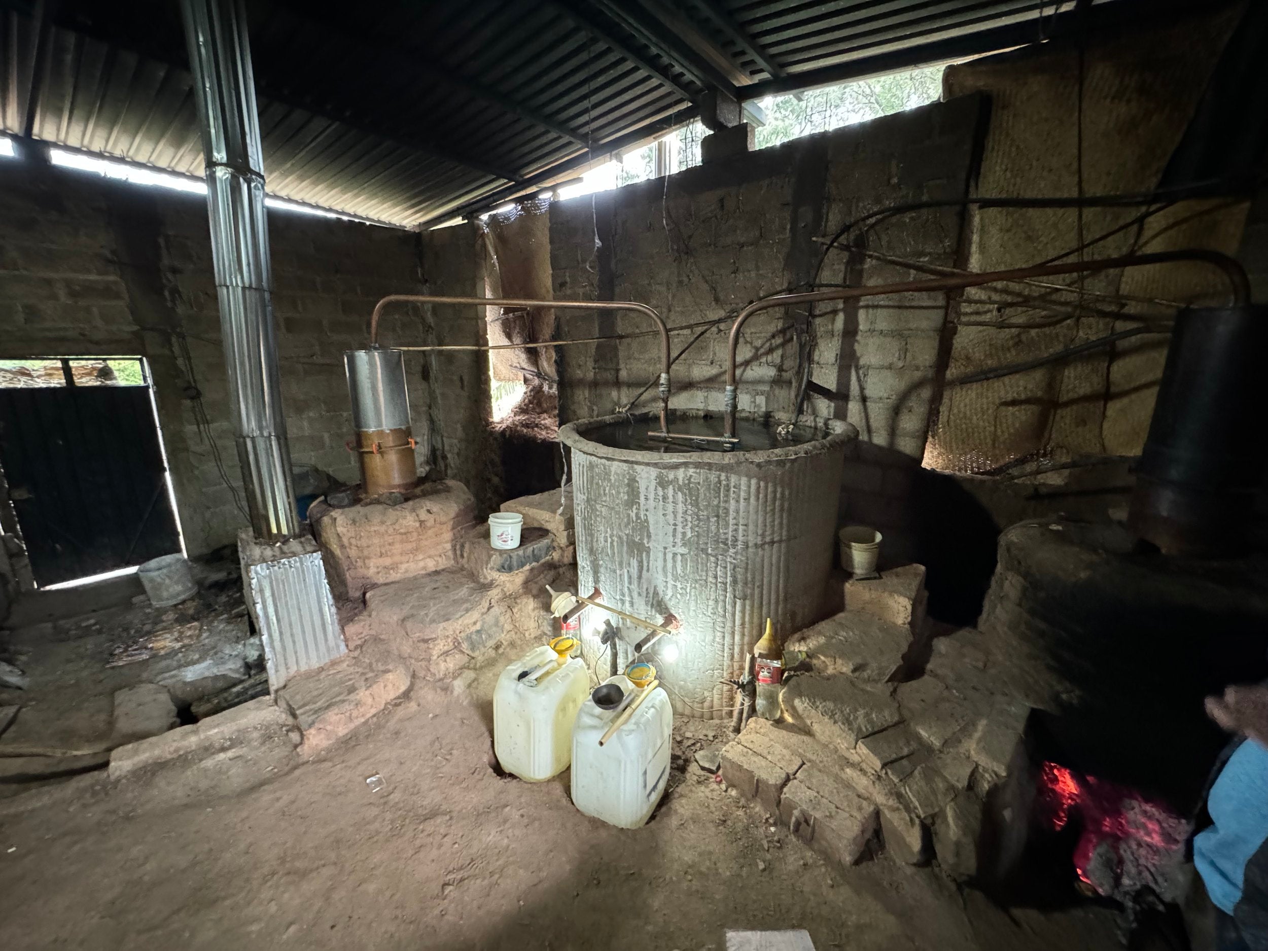 distilling in 2024 of the Papalote - Ameyaltepec, Batch: P-DT-05. Exclusive to Sin Gusano