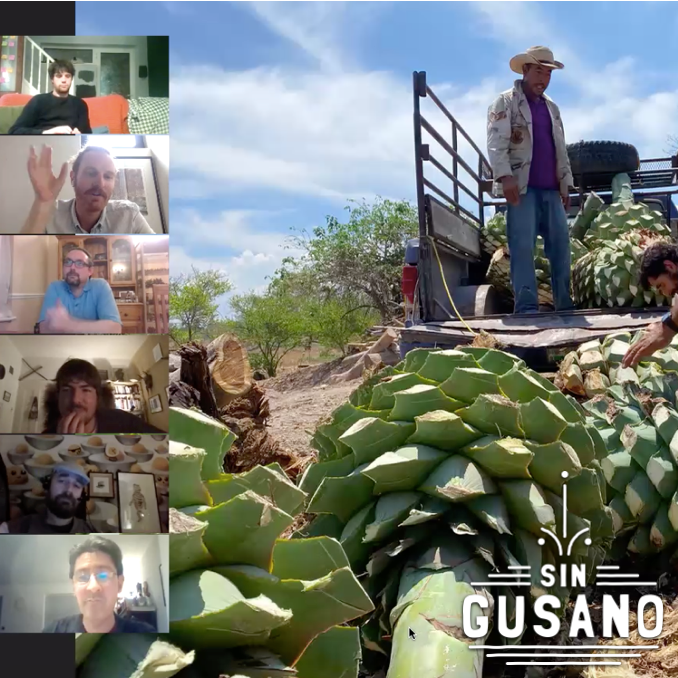 online private mezcal tasting with Sin Gusano 