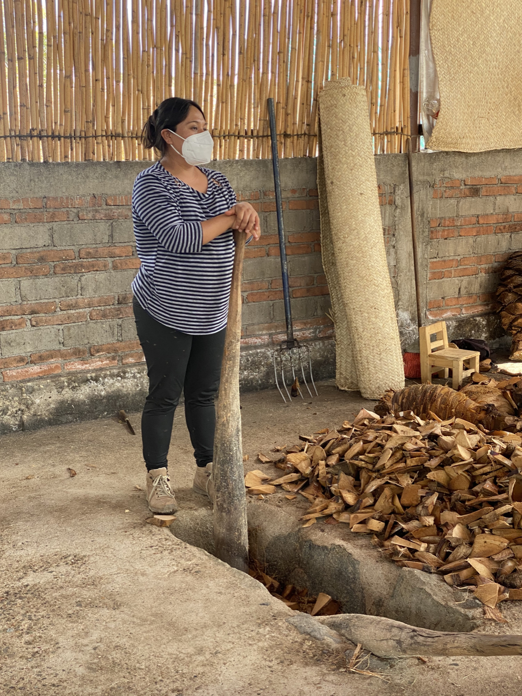 pinas milled by hand for mezcal production