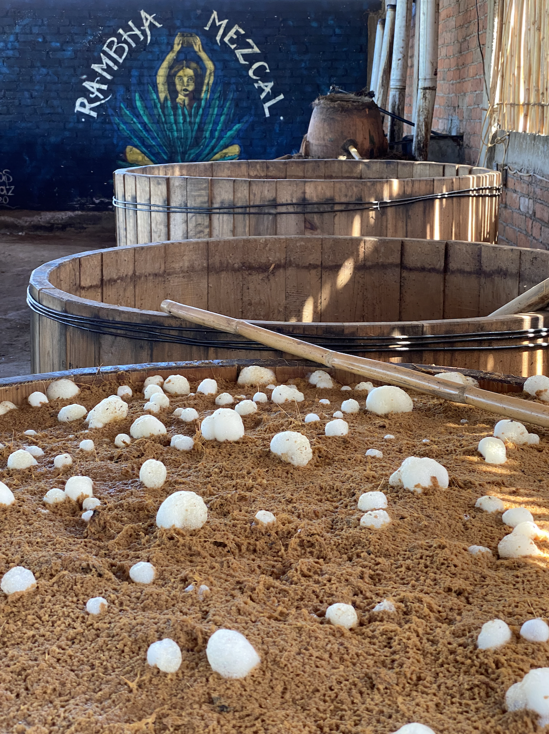 fermentation process of mezcal