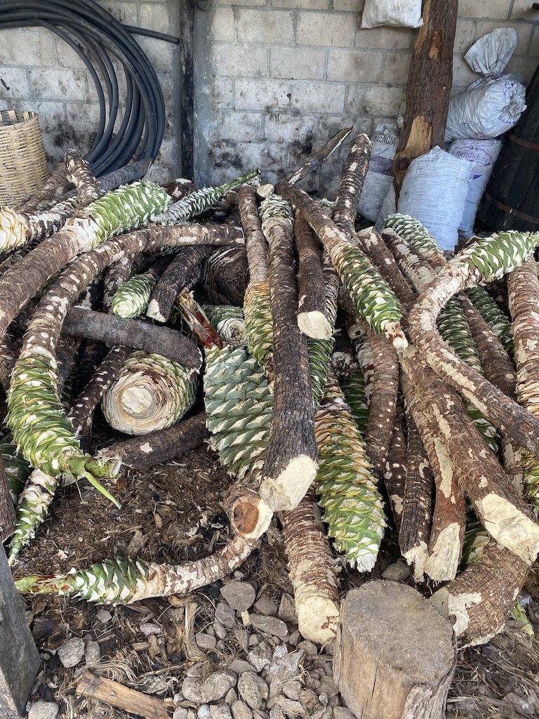 Harvested biquix waiting to roast