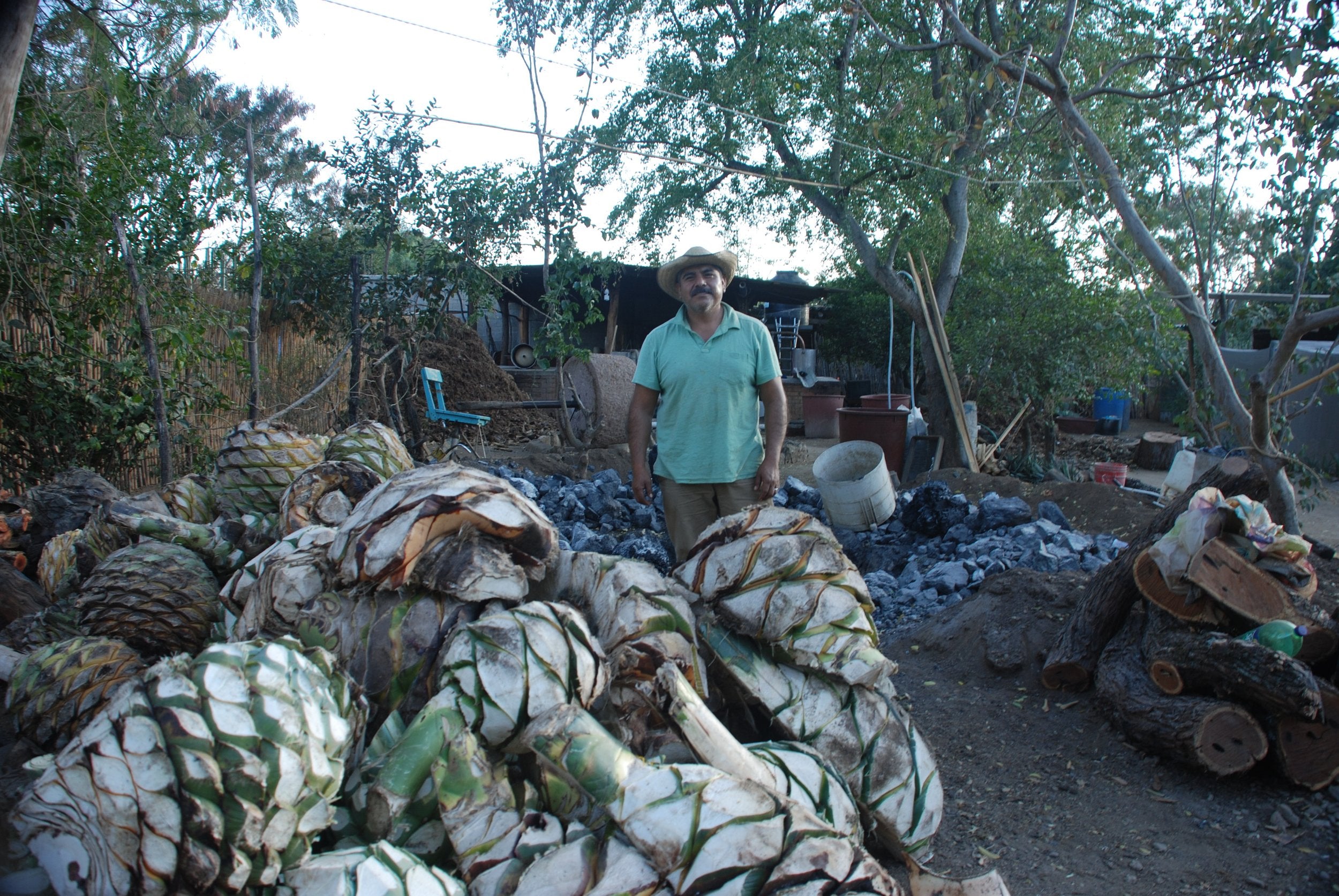 Sergio by the oven ready for mezcal