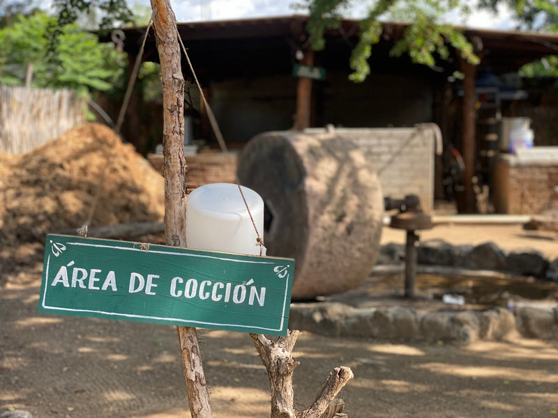 main image for the Mexicano - amatengo
 mezcal for the Mezcal library on the Sin Gusano project website