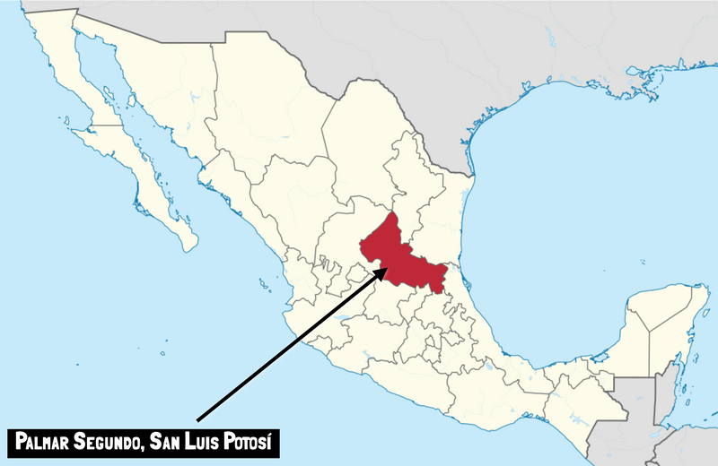 A map showing Palmar Sugundo where the Salmiana Silvestre for batch SLP-MN-01 is made