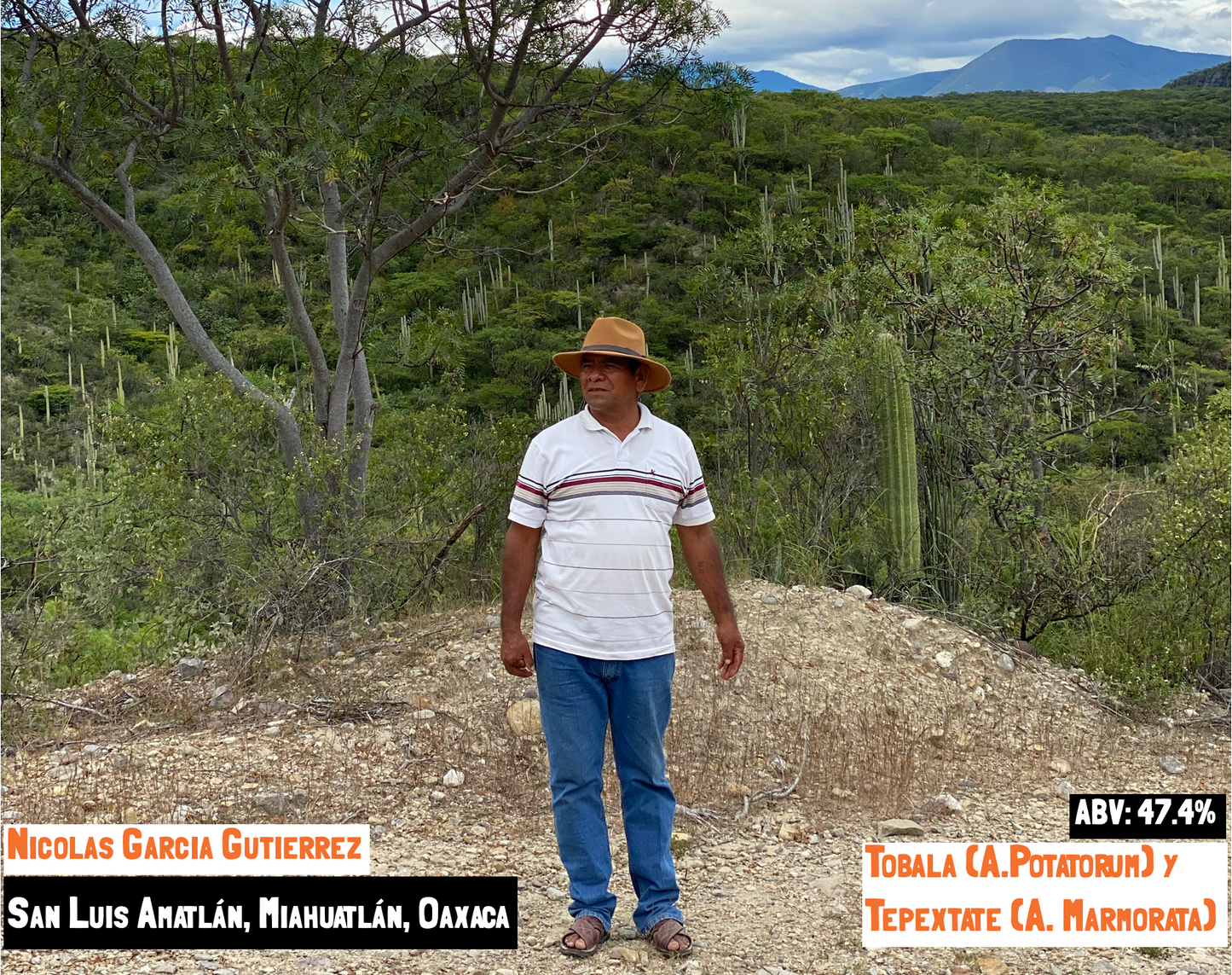 Tobala y Tepextate - Amatlán