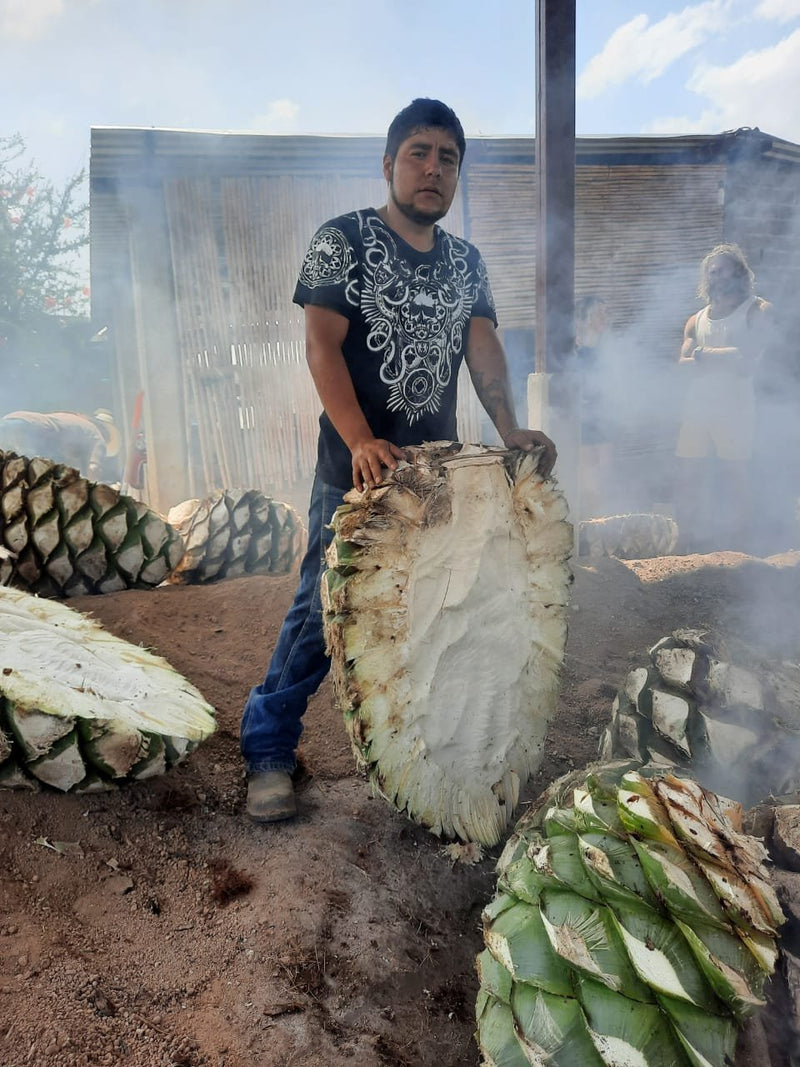 produce less than 250 liters of mezcal from the plant between 2015 and 2020. 