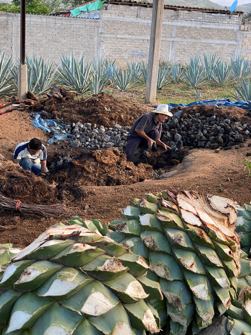 This particular batch was distilled in September 2022. Tío Pedro and Lalo worked together to roast these giant piñas