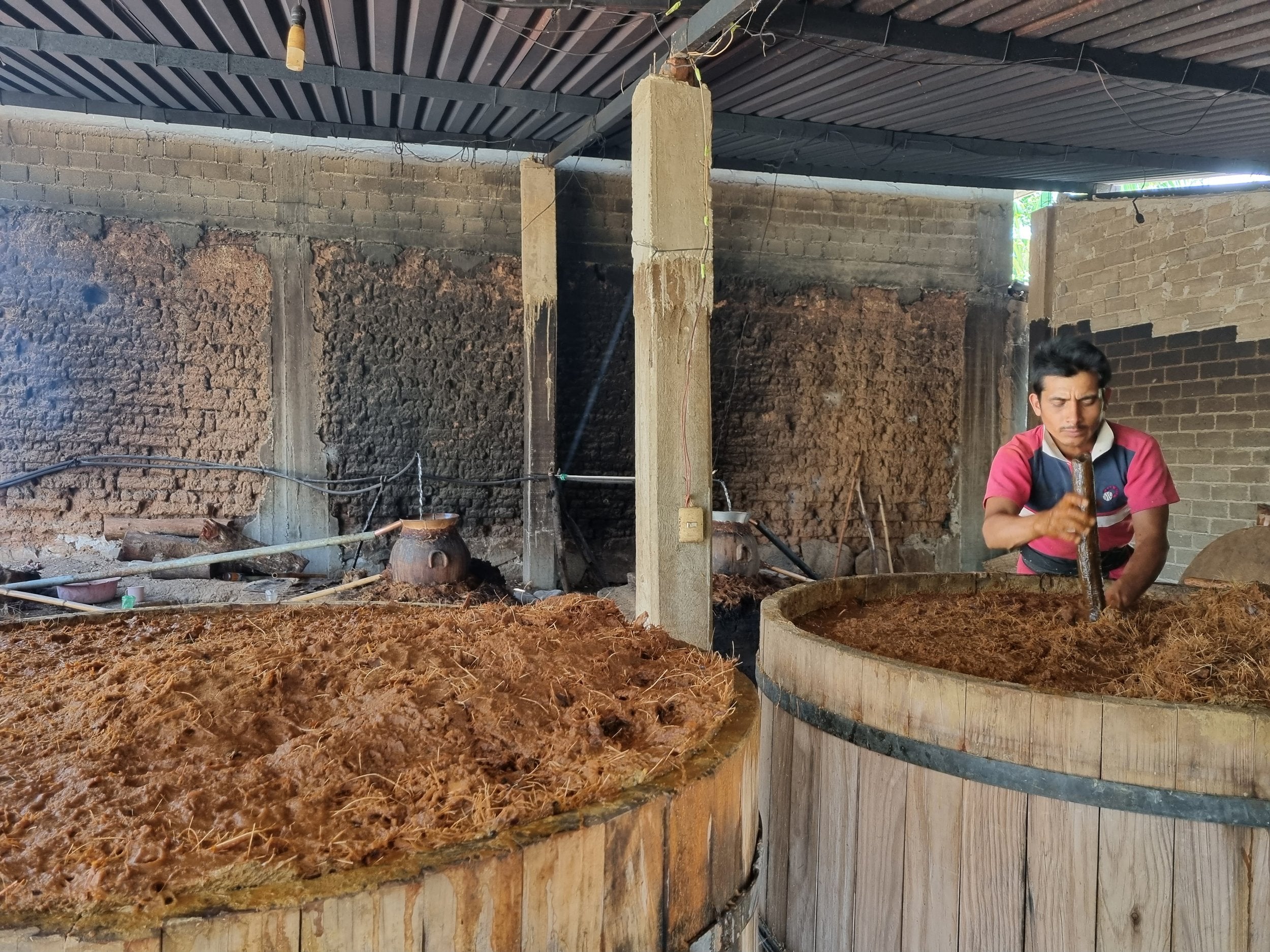 This particular batch was distilled in September 2022. Tío Pedro and Lalo worked together to roast these giant piñas, which on average weighed over 220 kg per piece