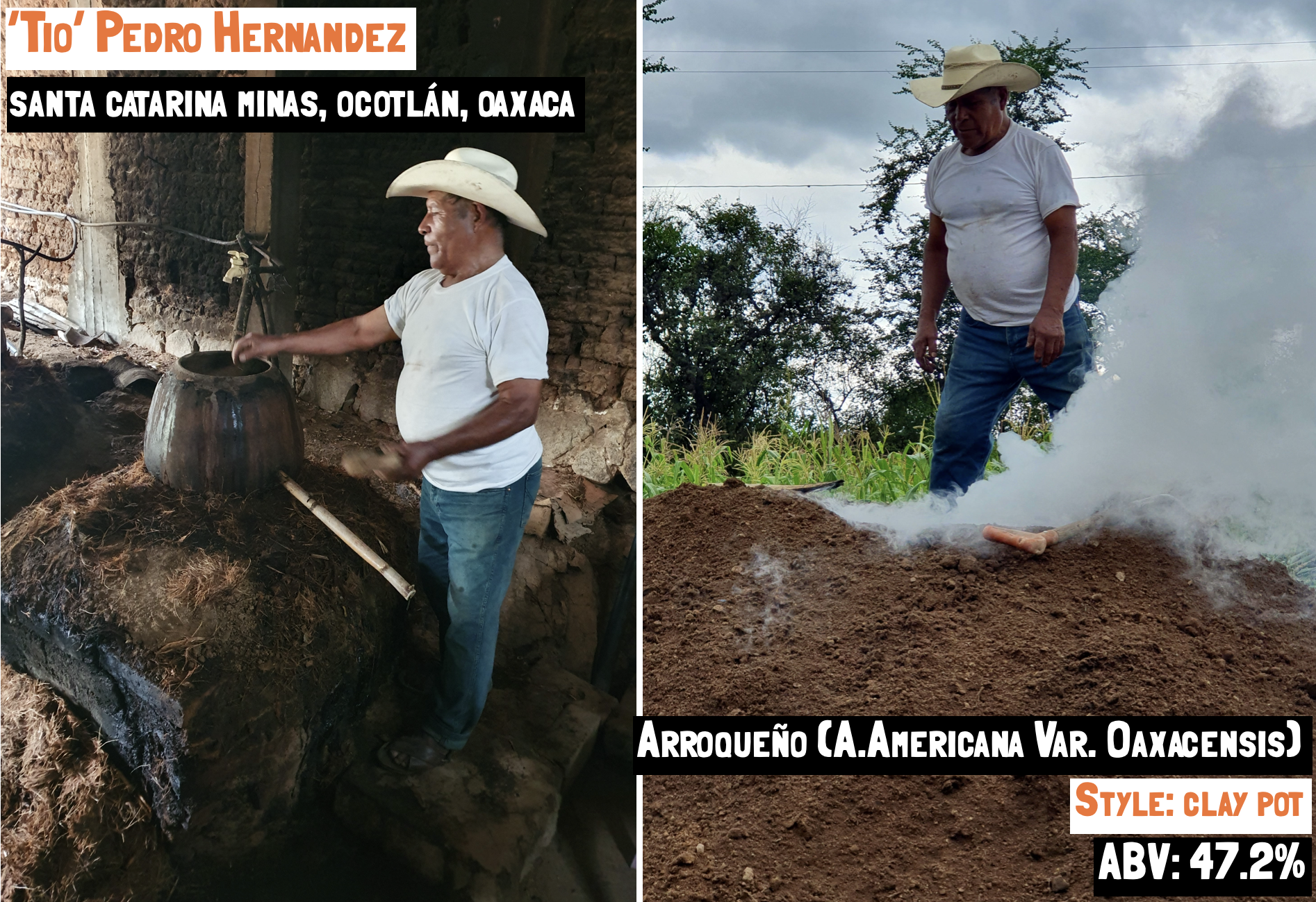 main image for the Espadín Capón - Santa Catarina Albarradas mezcal