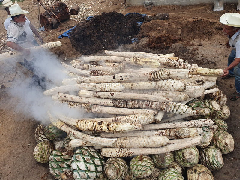 The roast at La Esperanza, ‘Tio’ Pedro’s palenque