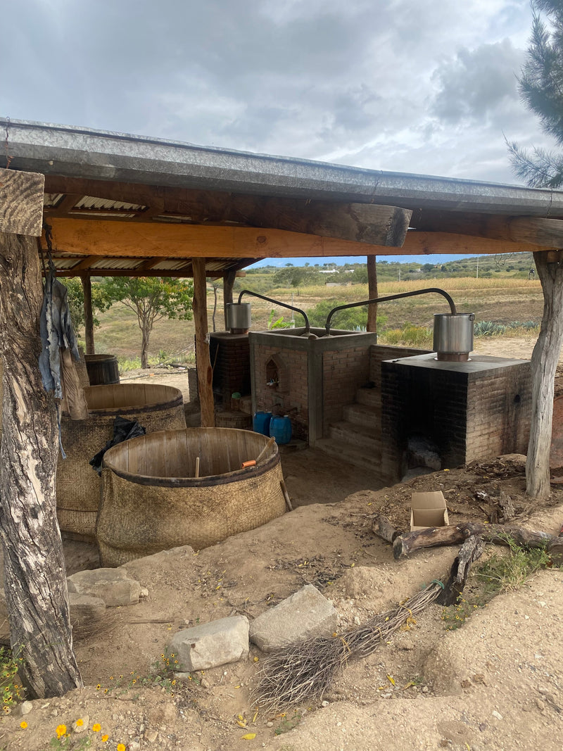 The old palenque this batch of mezcal was produced in
