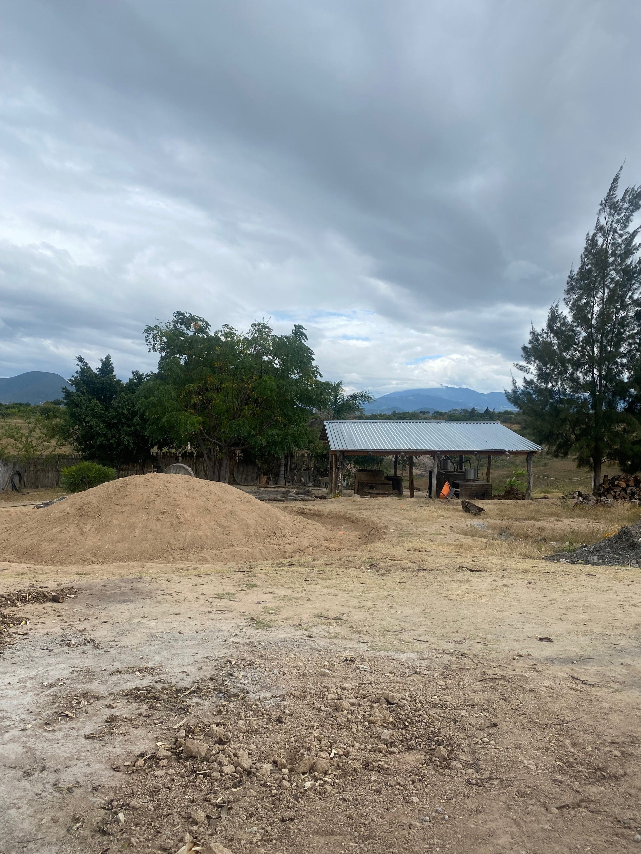 Old palenque in the background with filled oven foreground for mezcal