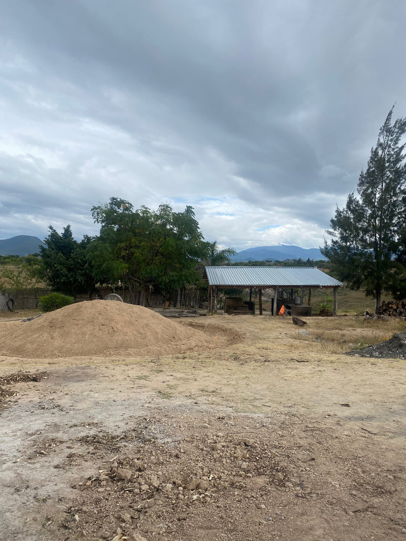 Old palenque in the background with filled oven foreground for mezcal