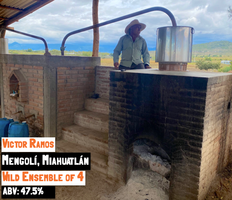 main image for the Ensemble de Quatro - Mengolí mezcal webpage on the Sin Gusano project Mezcal library